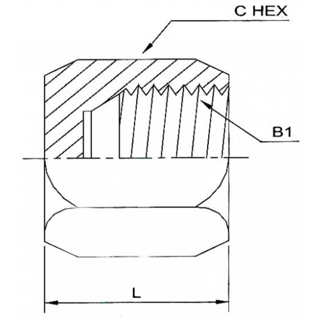 0304-C-03-SS : OneHydraulics Stainless Cap Nut, 3/8-24 (-03) Female JIC