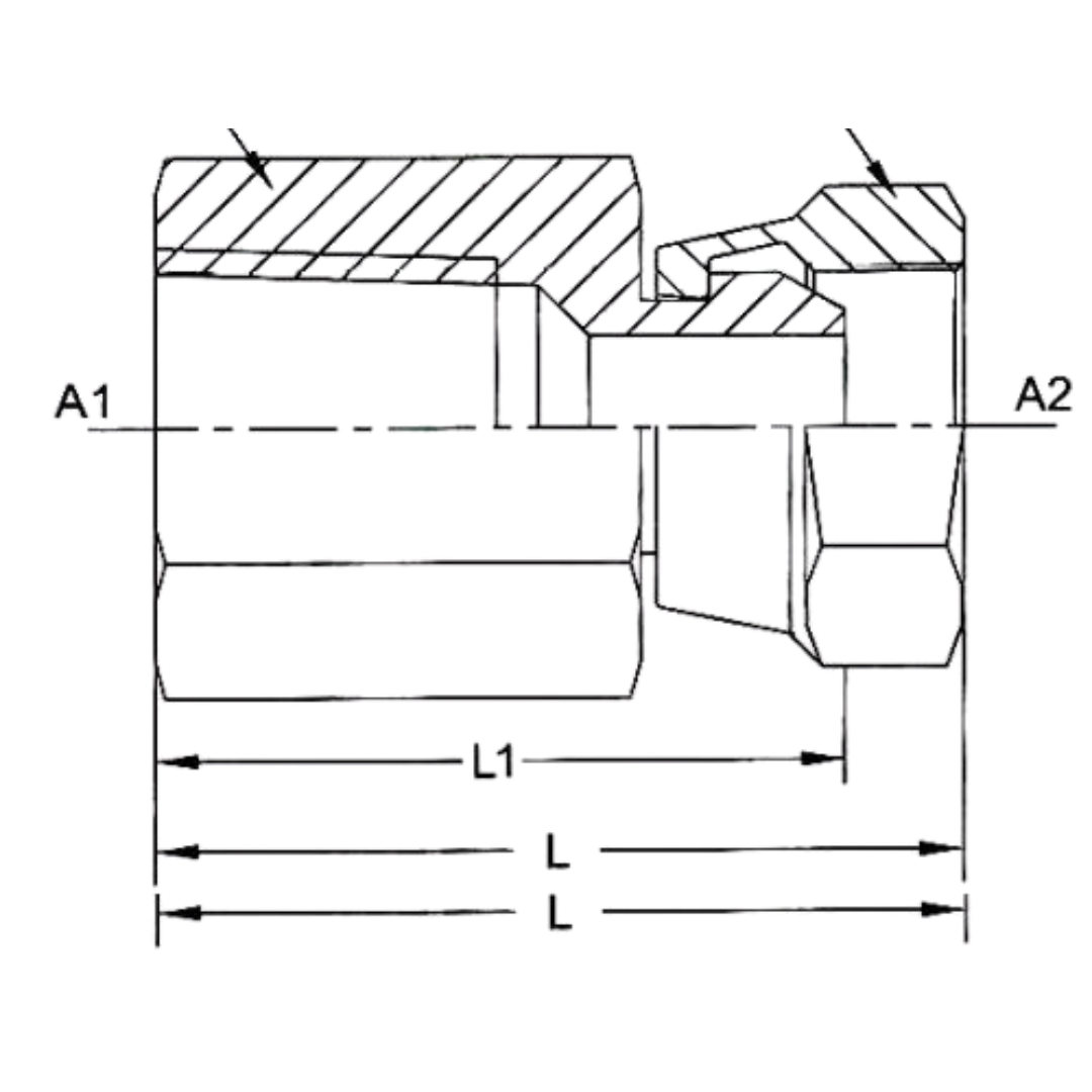 1405-12-12-SS : OneHydraulics Straight Stainless Adapter, 3/4-14 (-12) Female NPTF x 3/4-14 (-12) Female NPSM Swivel, 2700psi