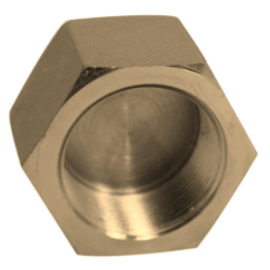 5406-C-04-B : OneHydraulics Brass Pipe Cap, 1/4-18 (-04) Female NPTF