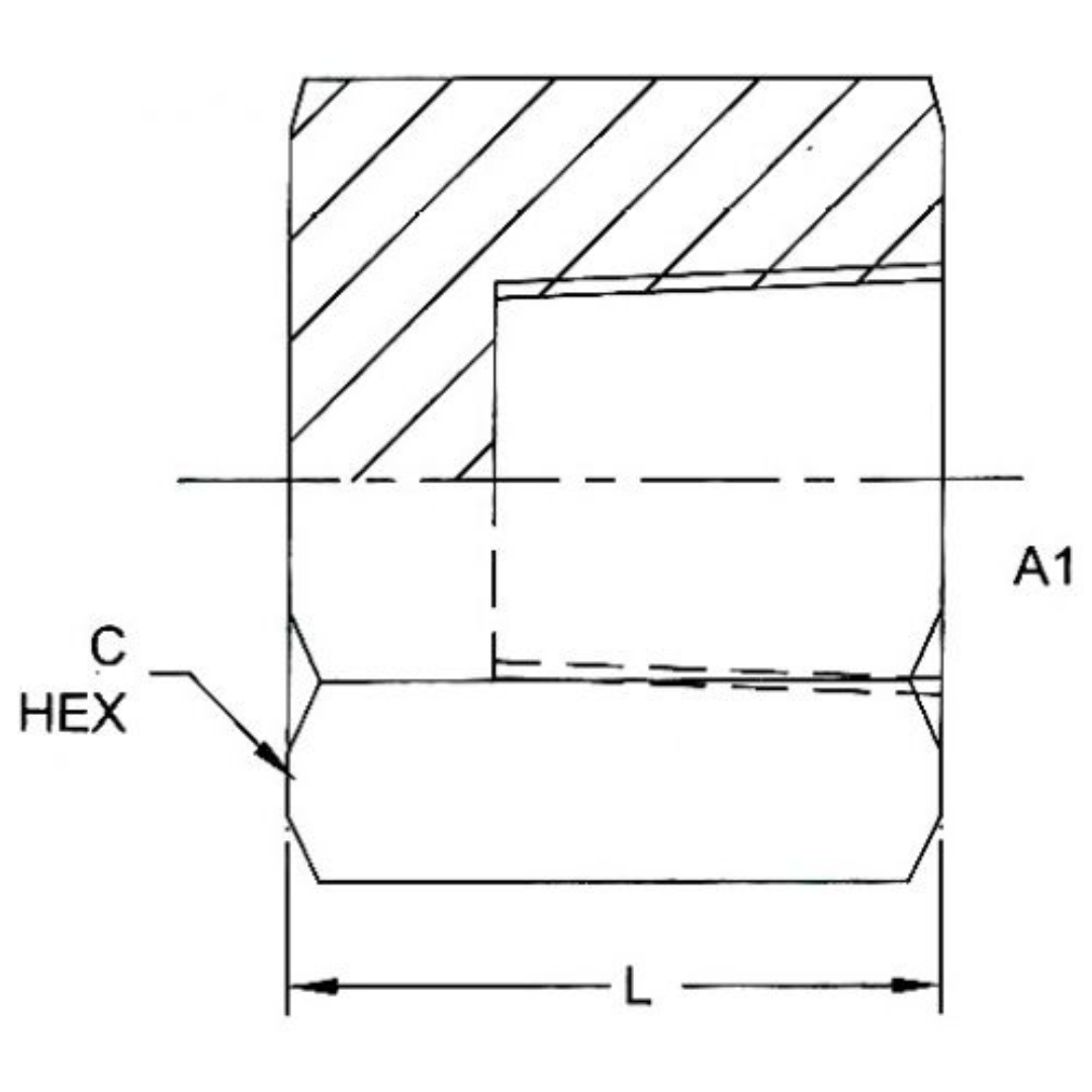 5406-C-08-SS : OneHydraulics Stainless Pipe Cap, 1/2-14 (-08) Female NPTF