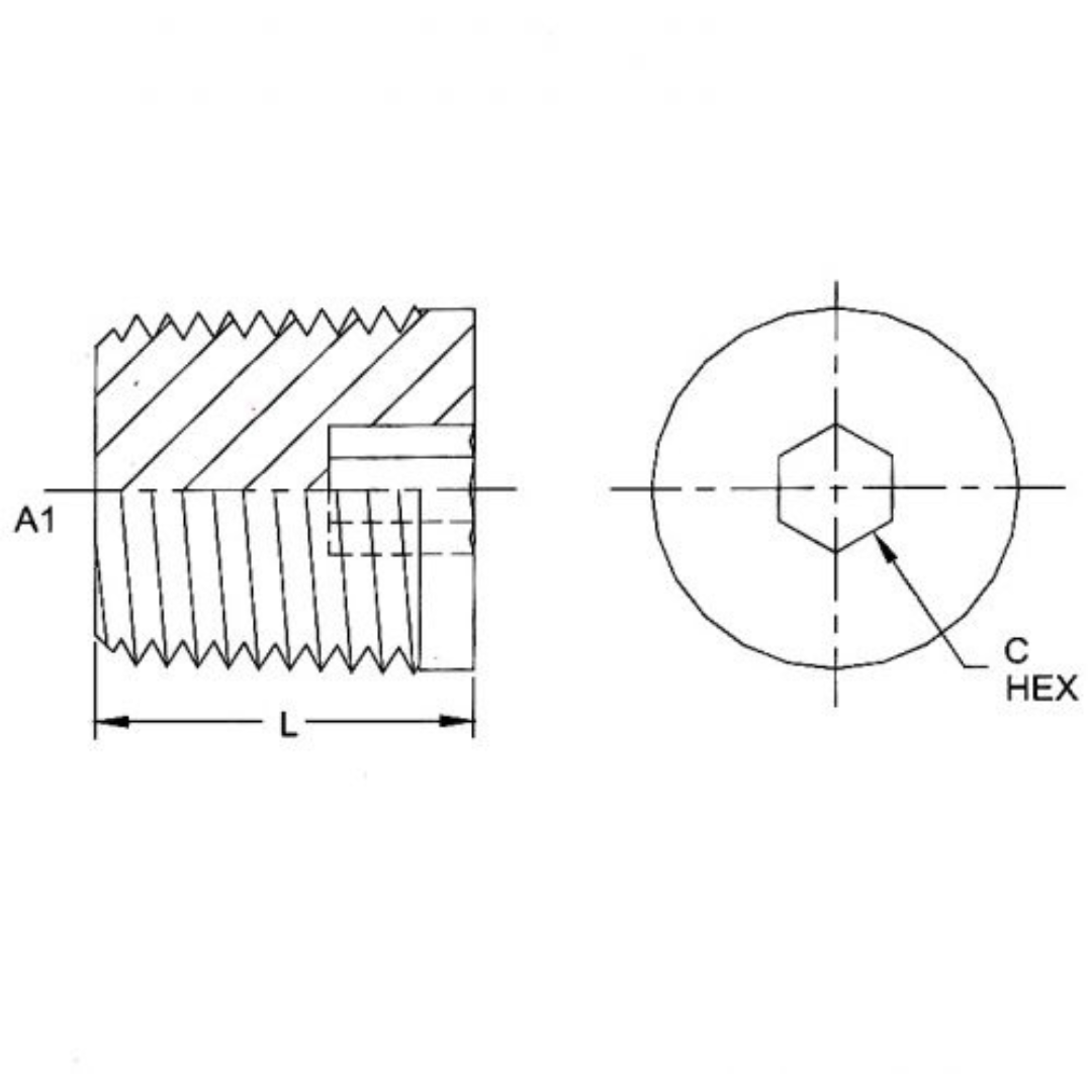 5406-HP-01 : OneHydraulics Steel Hollow Hex Pipe Plug, 1/16-27 (-01) Male NPTF