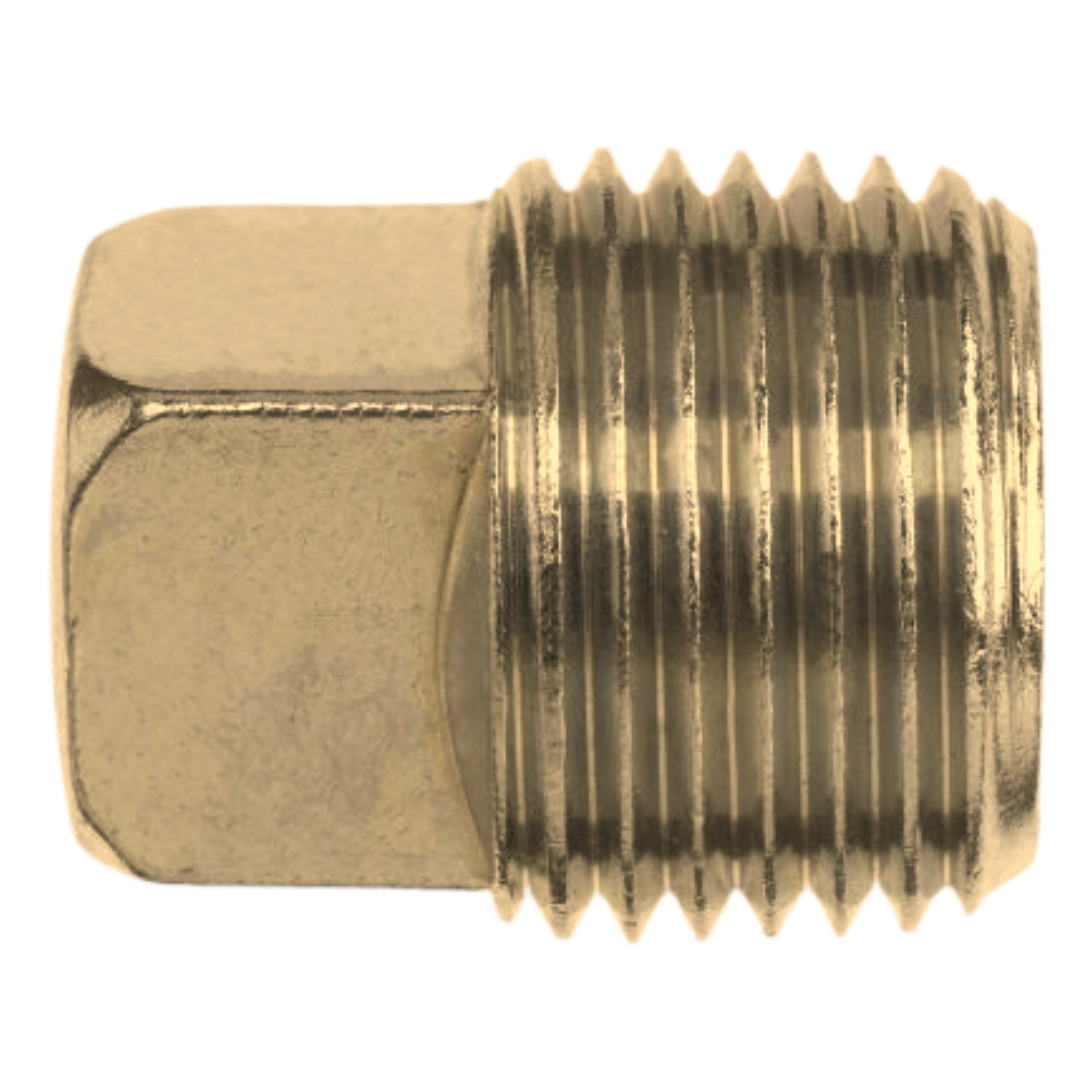 5406-SHP-04-B : OneHydraulics Brass Square Head Pipe Plug, 1/4-18 (-04) Male NPTF