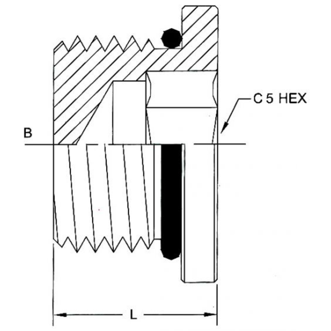 6408-H06-O-SS : OneHydraulics Hollow Hex Stainless Plug, 9/16-18 (-06) Male SAE ORB