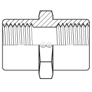 8043-08-04 : Adaptall Straight Brass Adapter, 1/2-14 (-08) Female BSPP x 1/4-19 (-04) Female BSPP