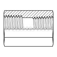 8044-06-06 : Adaptall Straight Brass Adapter, 3/8-19 (-06) Female BSPP x 3/8-18 (-06) Female NPT