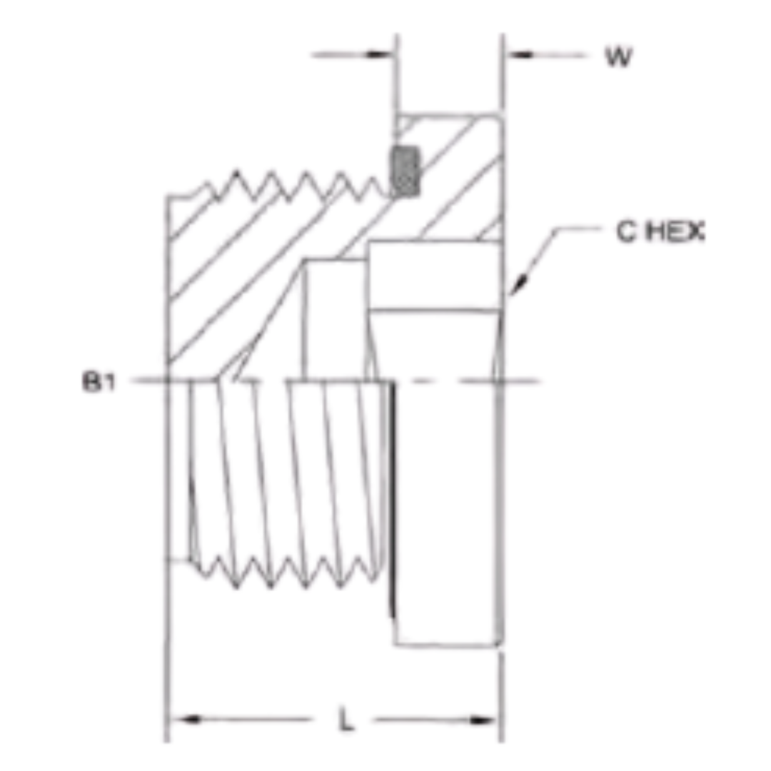 8555-H33-O : OneHydraulics Steel Hollow Hex Sealed Plug, M33 X 2.0 (33mm) Male Metric