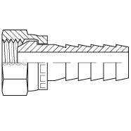 8900-12-12 : Adaptall Straight Brass Adapter, 3/4-14 (-12) Female BSPP x 3/4 (-12) Hose Barb