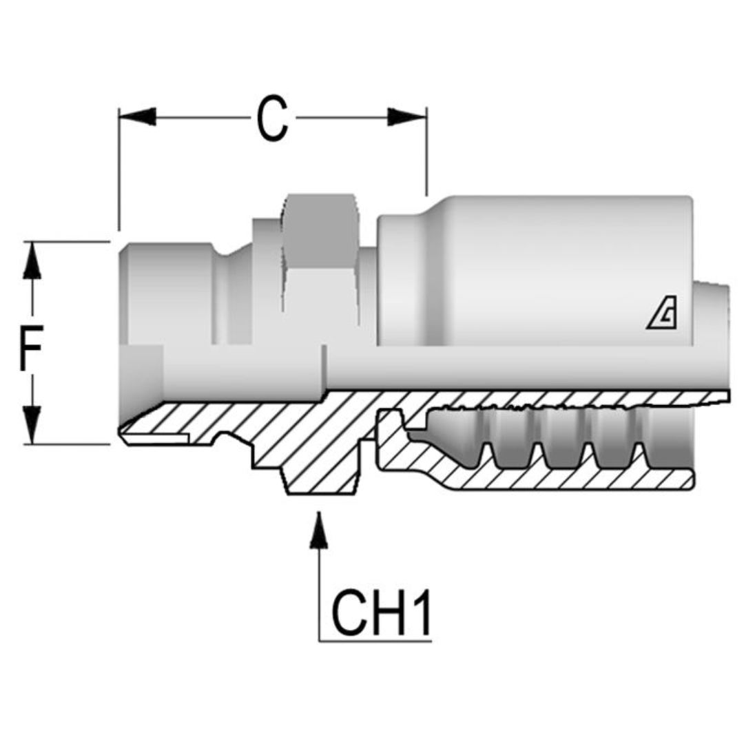 B-0812-MBPP : Alfagomma Straight Steel Fitting, 1/2 (-08) Hose x 3/4-14 (-12) Male BSPP