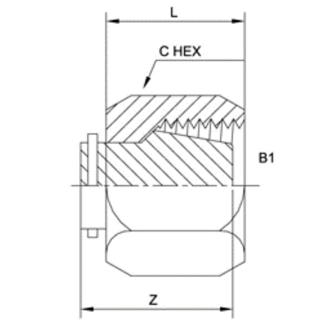 C0304-C-06-SS : OneHydraulics Stainless Cap Nuts, 9/16-18 (-06) Flareless Bite Type Tube Compression