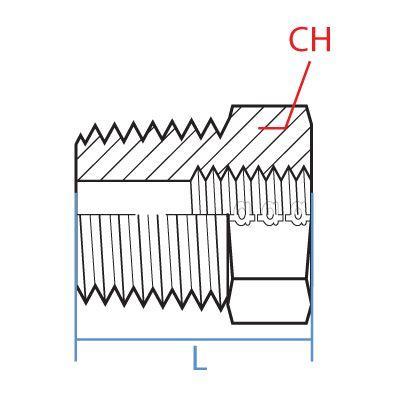 8038-02-06 : Adaptall Straight Adapter, Male 0.125 (1/8") BSPT x Female 0.375 (3/8") BSPP, BRASS