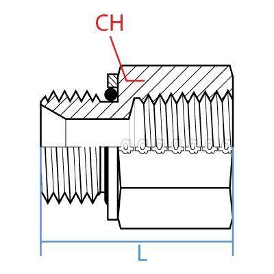 SS9035S-08-06 : Adaptall Straight Adapter, Male 0.5 (1/2") BSPP x Female 0.375 (3/8") NPT, Stainless Steel