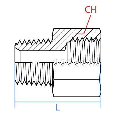 SS9037-08-08 : Adaptall Straight Stainless Rigid Adapter, 1/2-14 (-08) Male NPT x 1/2-14 (-08) Female BSPP