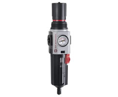B84G-6AT-AD3-RSG : Norgren Excelon Plus Filter/Regulator, 3/4 PTF, 40-Micron, 10 to 246psi, automatic drain