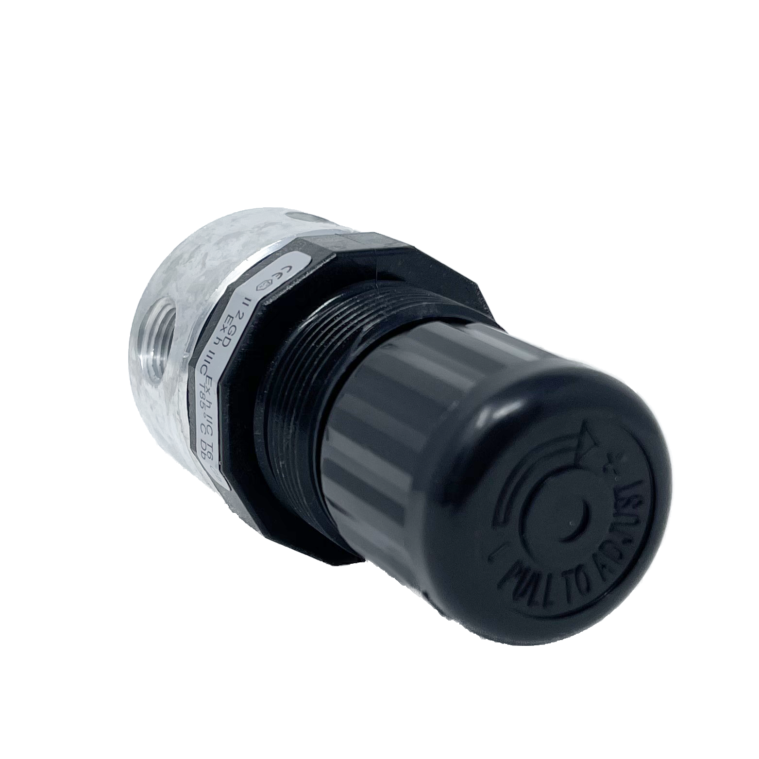 R06-100-RNKA : Norgren R06 Series Water/Air Regulator, 1/8" NPT, Aluminum Body, Plastic Bonnet, Relieving, No Gauge, 5 to 100psi Range