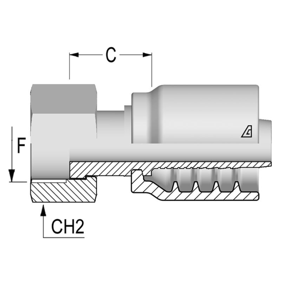 Shop B-FBFS Straight Hose - Female BSPP Flat Seat