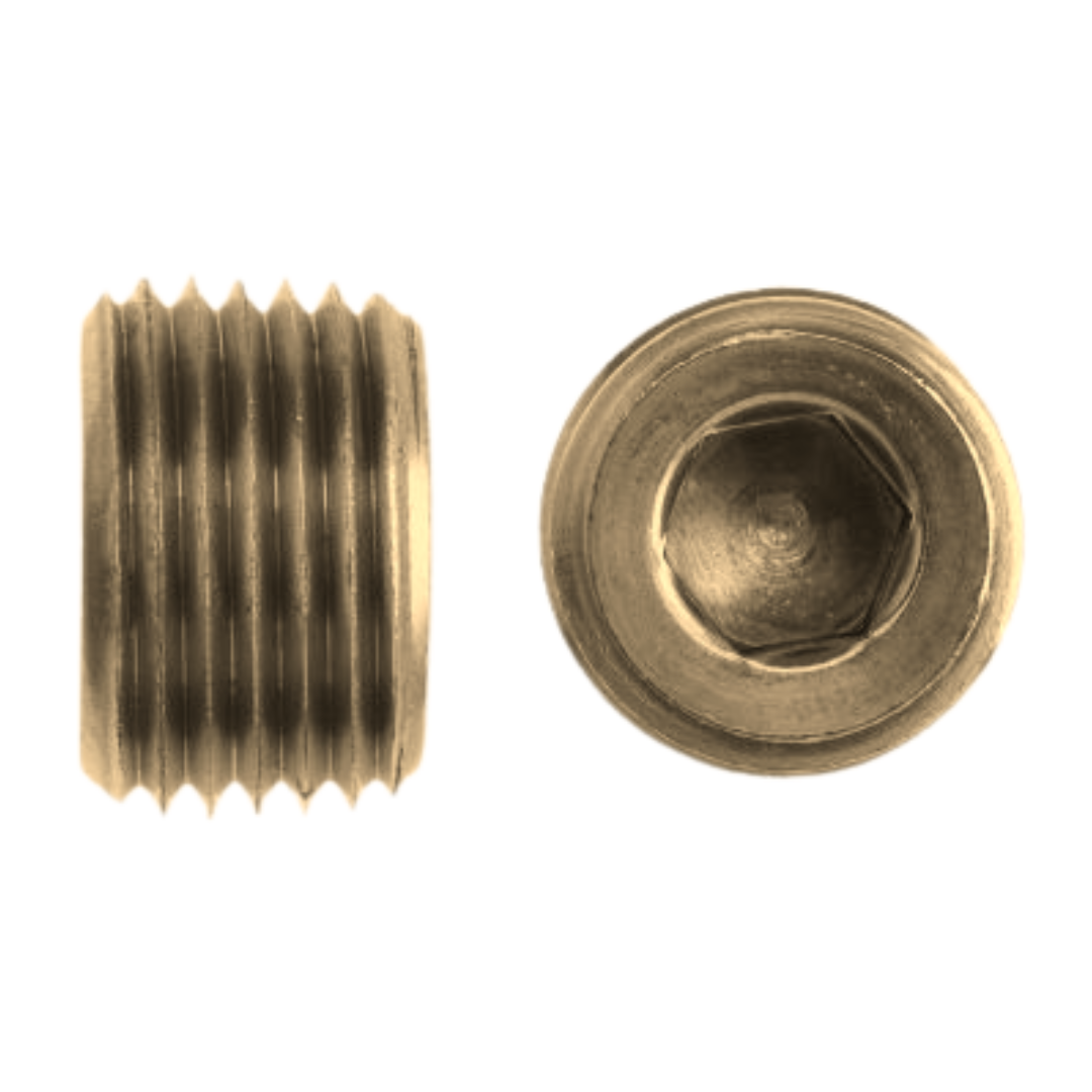 5406-HP-04-B : OneHydraulics Brass Hollow Hex Pipe Plug, 1/4-18 (-04) Male NPTF