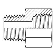 9032-04-04 : Adaptall Straight Steel Adapter, R 1/4-19 (-04) Male BSPT x G 1/4-19 (-04) Female BSPP