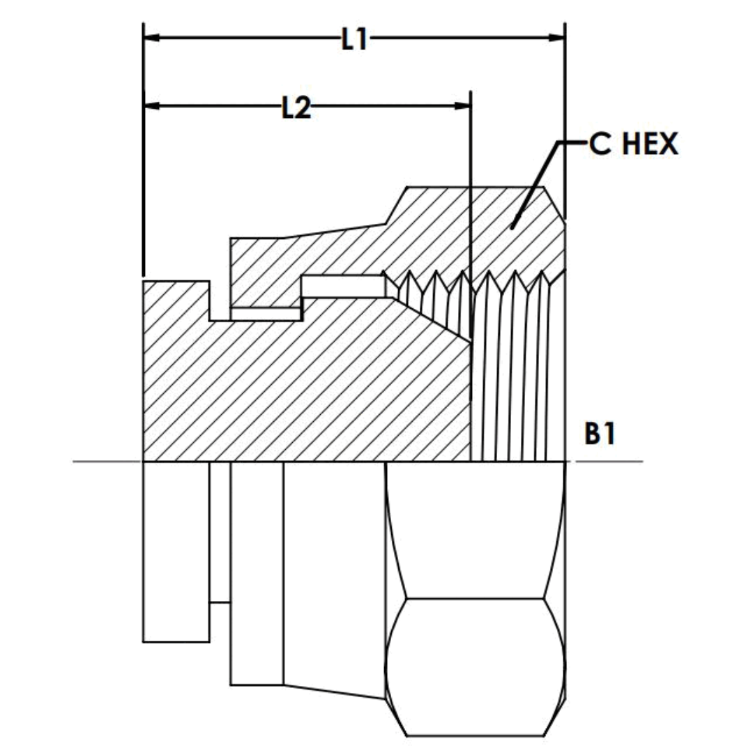 9644-C-06 : OneHydraulics Steel Cap, 3/8-19 (-06) Female BSPP