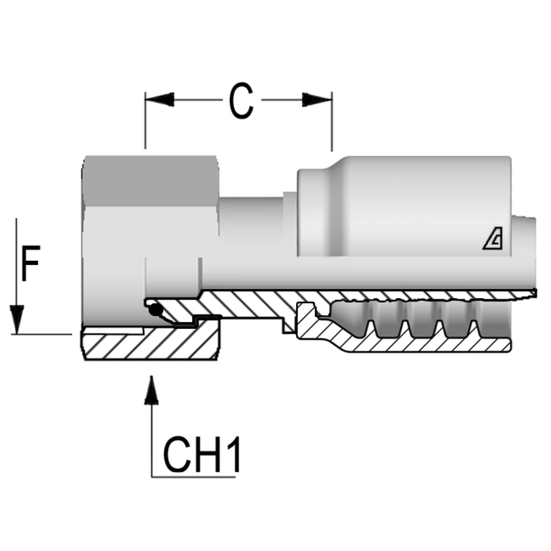 B-1012-FBPO : Alfagomma Straight Steel Fitting, 5/8 (-10) Hose x 3/4-14 (-12) Female BSPP
