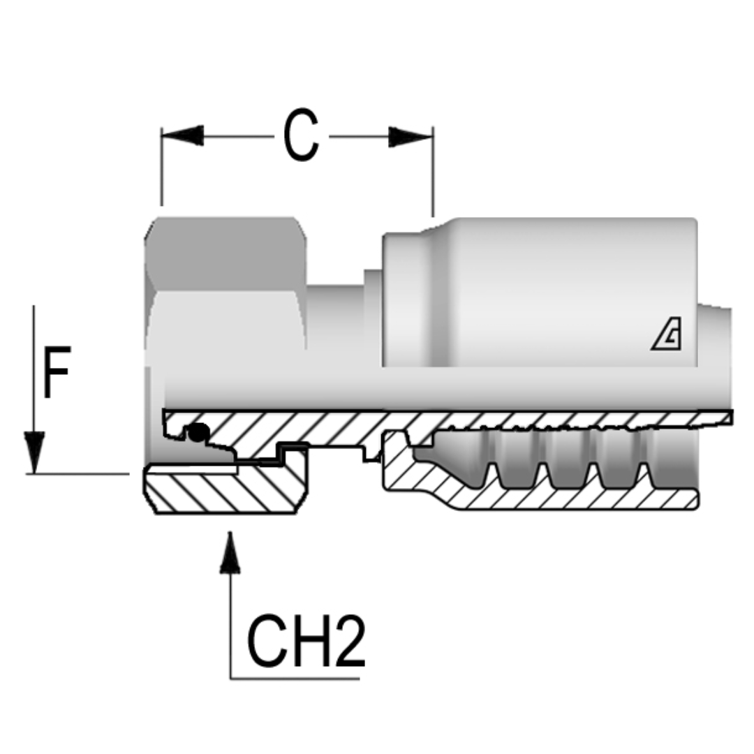 B-1636-FMOL : Alfagomma Straight Steel Fitting, 1 (-16) Hose x M36x2.0 (-L28) Female Light Duty DIN Tube with O-Ring