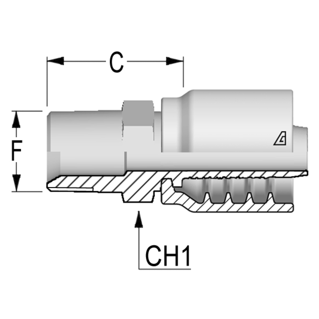 B-0404-MBPT : Alfagomma Straight Steel Fitting, 1/4 (-04) Hose x 1/4-19 (-04) Male Tapered BSPT/JIS