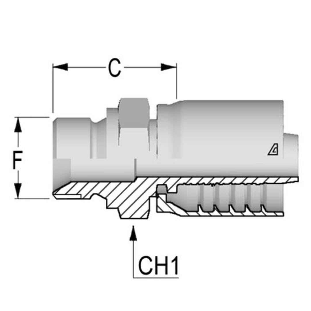 D-1012-MBPP : Alfagomma Straight Steel Fitting, 5/8 (-10) Hose x 3/4-14 (-12) Male BSP