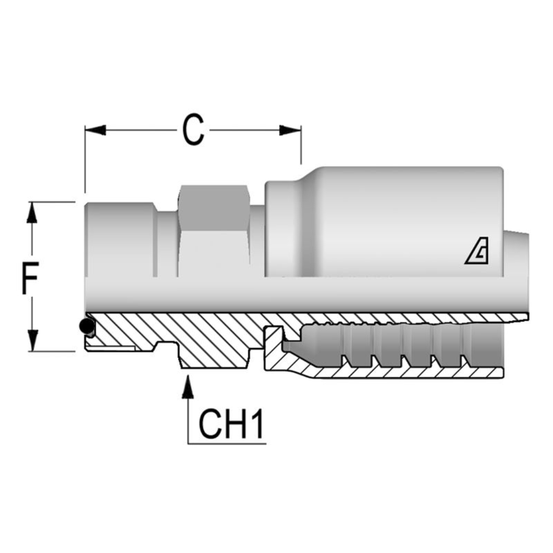D-0810-MOFS : Alfagomma Straight Steel Fitting, 1/2 (-08) Hose x 1-14 (-10) Male ORFS