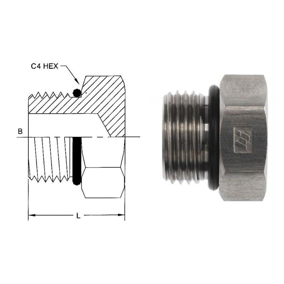 6408-02-O-SS : OneHydraulics 0.125 (1/8) Male ORB (O-Ring Boss) External Hex Plug, Stainless Steel