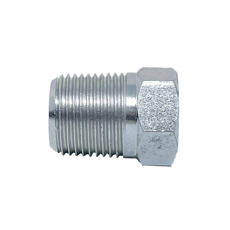 9030T-04 : Adaptall BSP Tapered Hexagon Plug, 0.25 (1/4"), Carbon Steel