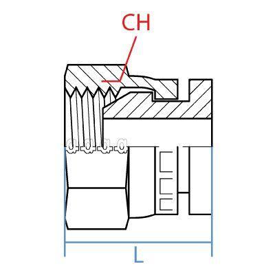 9033-06 : Adaptall BSPP Cap, 0.375 (3/8"), Carbon Steel